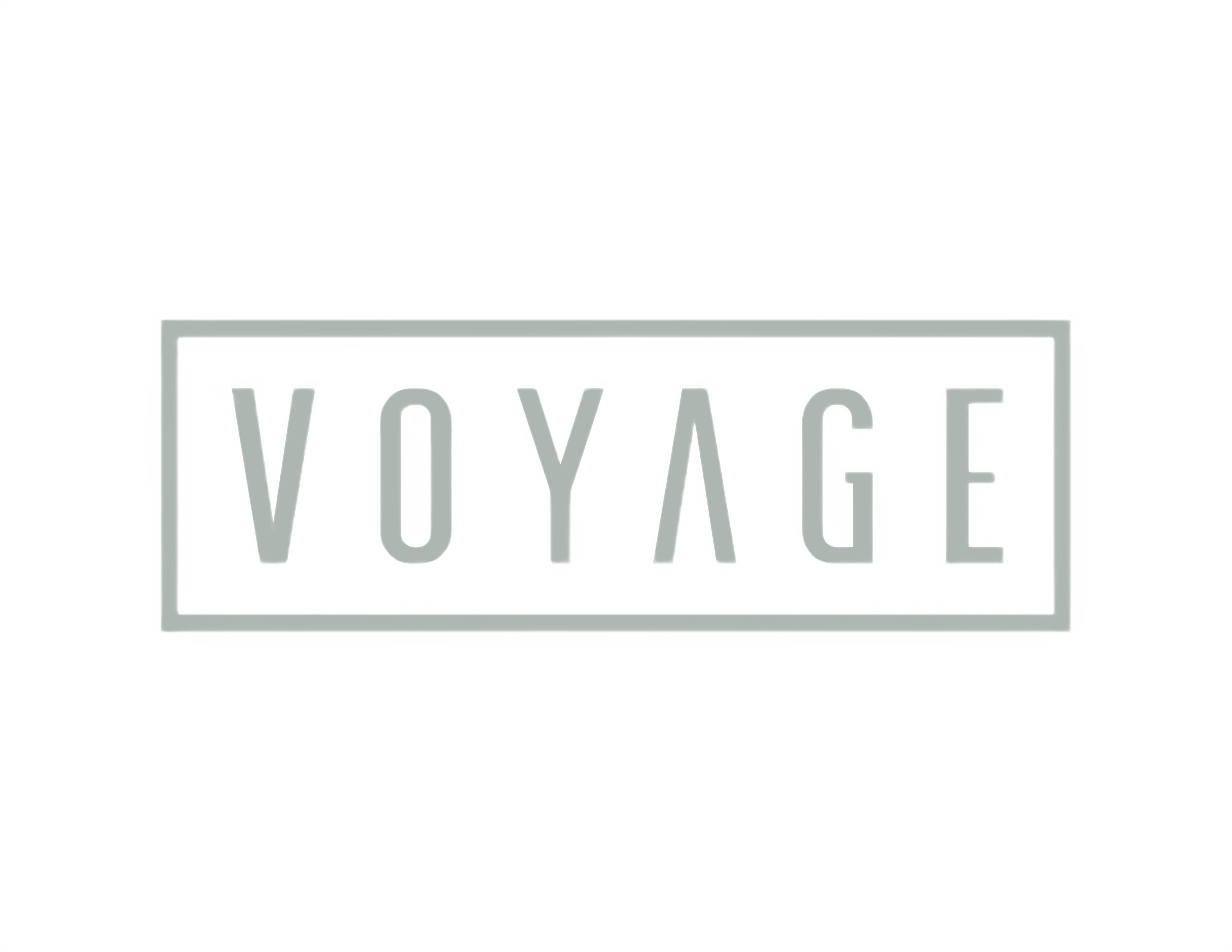 Voyage